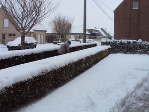 sneeuwpret 001