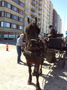 OOSTENDE VOOR ANKER 017