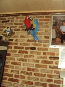 SNELLEGEM 006