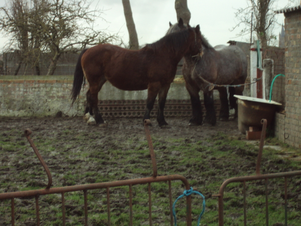 LEFFINGE 003