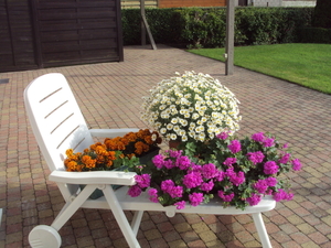 bloemen 002