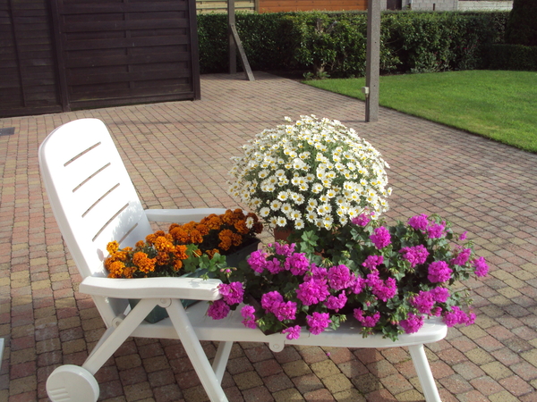 bloemen 002