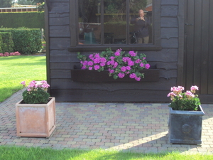 bloemen 005