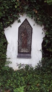 wHOOGLEDE 004