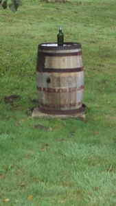 wHOOGLEDE 009