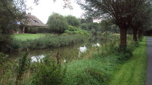 wHOOGLEDE 011