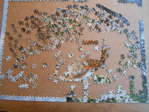 puzzels 001