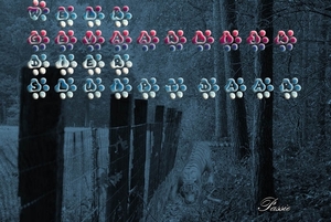 Passie