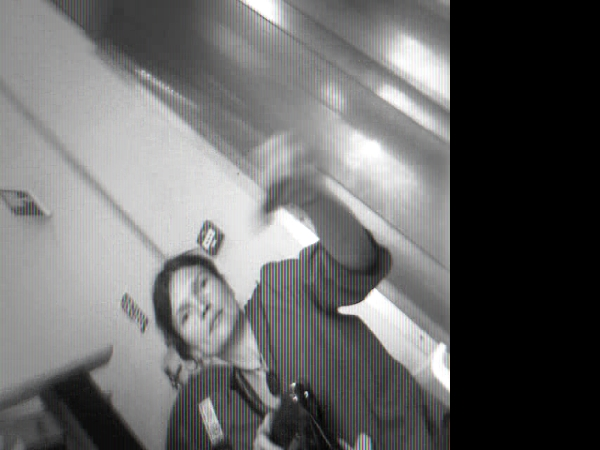 snapshot20080713195332