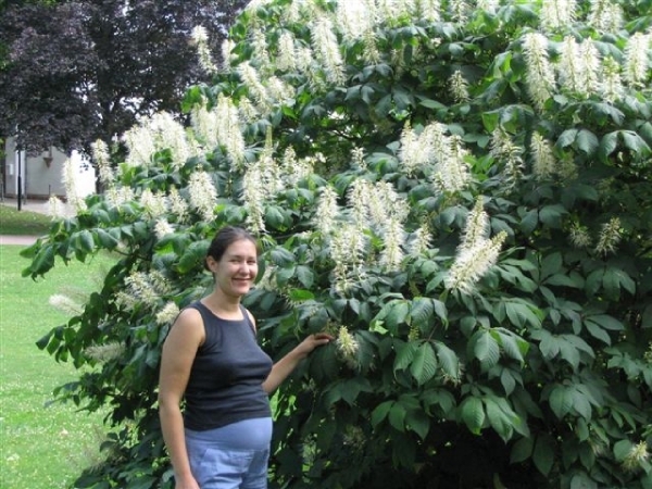 Silvana_+_Asad_wedding_77