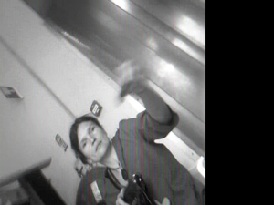 snapshot20080713195332