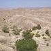 Berber landschap