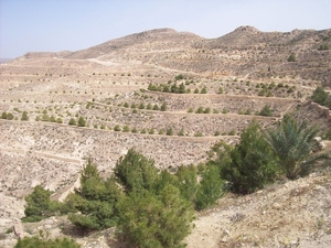 Berber landschap
