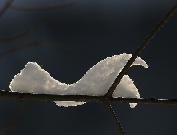 SNEEUW