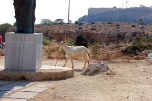 254  Rodos - Lindos