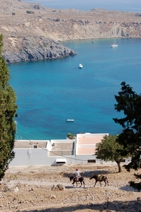 266  Rodos - Lindos