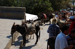 268  Rodos - Lindos