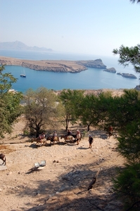 270  Rodos - Lindos