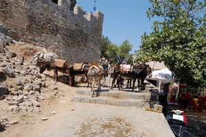 323  Rodos - Lindos