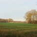 DSC04423