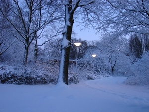 DSC04439