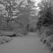 DSC04440