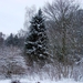 DSC04494
