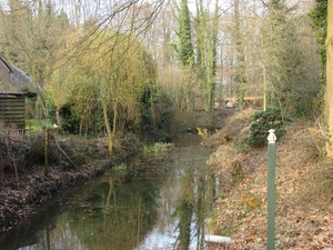 DSC03003