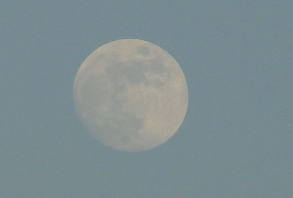 DSC03014