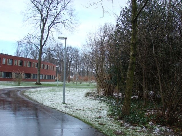DSC03058