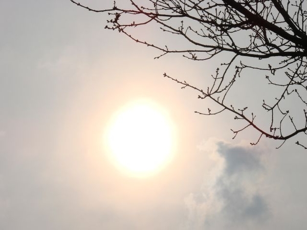 DSC03100