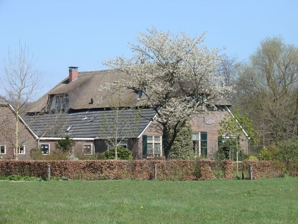 DSC03118