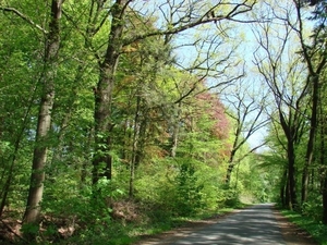 DSC03324