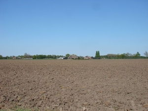 DSC03344
