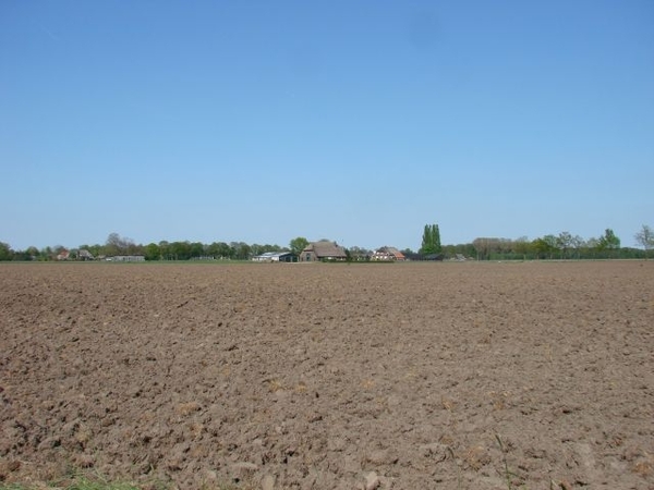 DSC03344
