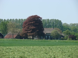 DSC03362