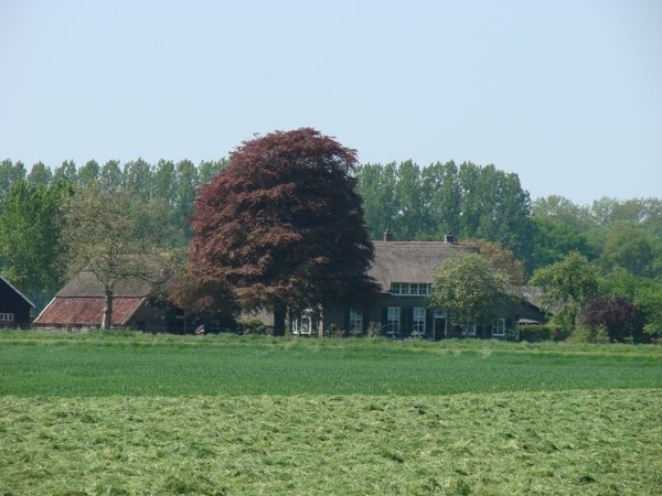 DSC03362