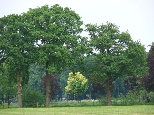 DSC03405