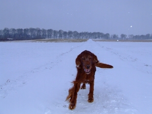 Wandelen 2010  (10)