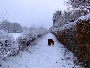 Wandelen 2010  (5)