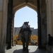 jaipur-amberfort
