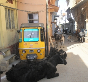 straatbeeld in Ajmer