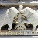 ranakpur detail