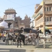 jodhpur vrachtvervoer