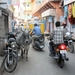 jodhpur kolosaal rund in bazaar