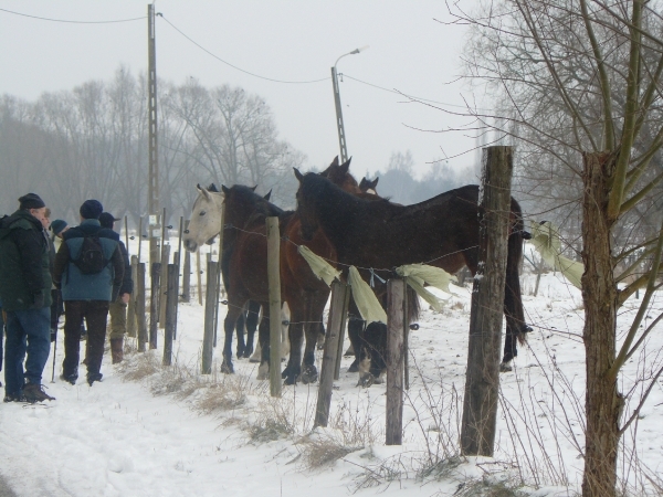 Frisse neus 10 jan 2010 035