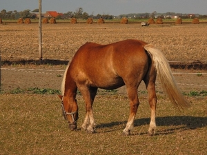 IMG_0186_640x480