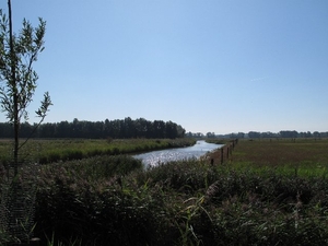 IMG_0145_640x480