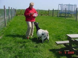 foto's van weekje vacantie in zeeland ( zoutelande ) 012_640x480