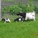 foto's van weekje vacantie in zeeland ( zoutelande ) 058_640x480